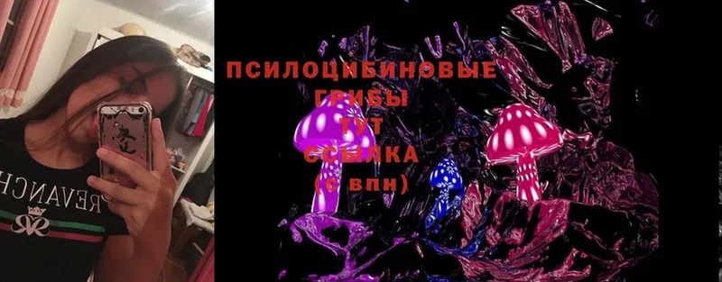 купить закладку  Реж  Галлюциногенные грибы Cubensis 